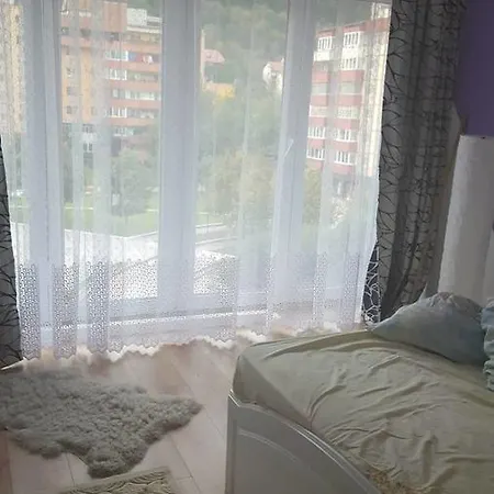 Albert House * Braşov